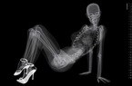 X光版美女月历