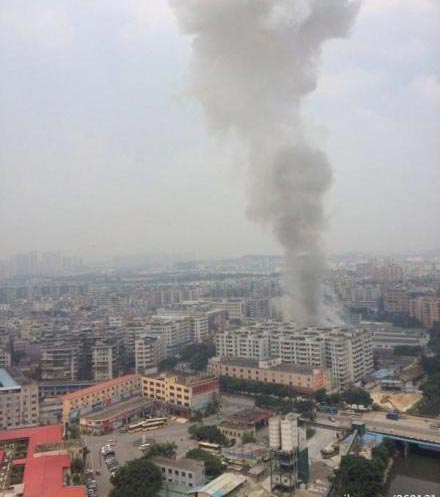 鹅掌坦爆炸图片