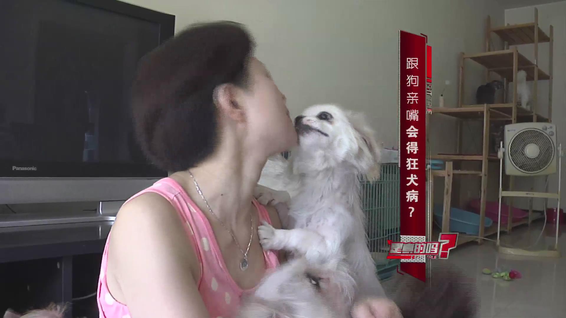 跟狗亲嘴会得狂犬病?以口喂食,亲吻宠物危险