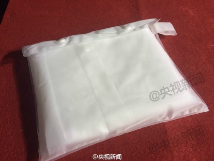 揭秘胜利日阅兵观礼席位上的神秘布袋 究竟装了啥【7】