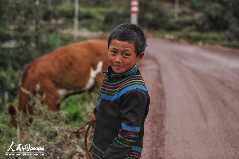 9月14日，四川省凉山州布拖县，放牛的男孩日泽（化名）。父母外出务工，日泽和奶奶一起生活。每天放学，日泽第一件事就是去放牛。（人民网记者 朱虹 摄）