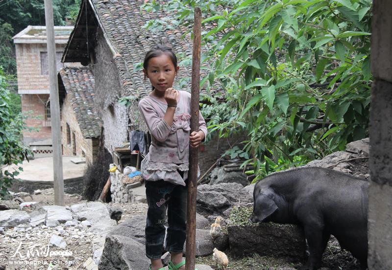 9月16日，贵州罗甸县打改村，一名女童在喂猪。爸爸妈妈长期在外打工，孩子们放学后会帮着爷爷奶奶做家务。（人民网记者 赵艳红  摄）