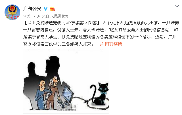 一团伙以赠宠物猫为名实施诈骗 在广州作案13起