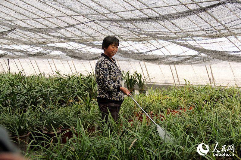 全国网络媒体深入河北保定扶贫一线采访(组图