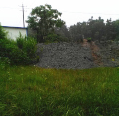 安徽安庆一造纸厂被指路边倒污泥 环保局回应