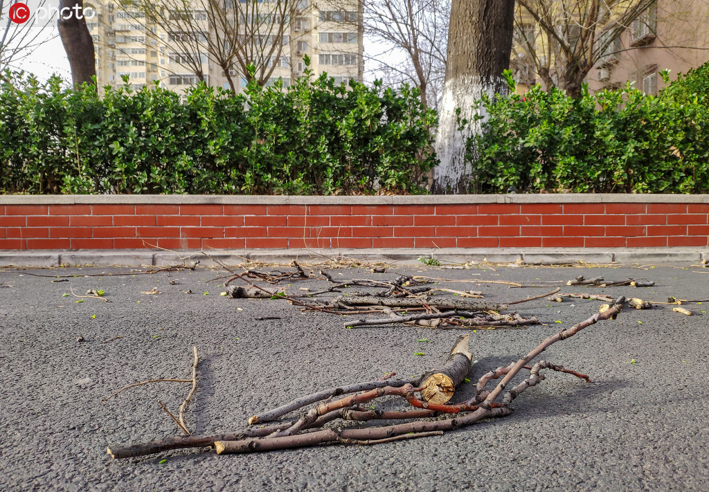 ��������2020��������ǿ�����ɳ������8��