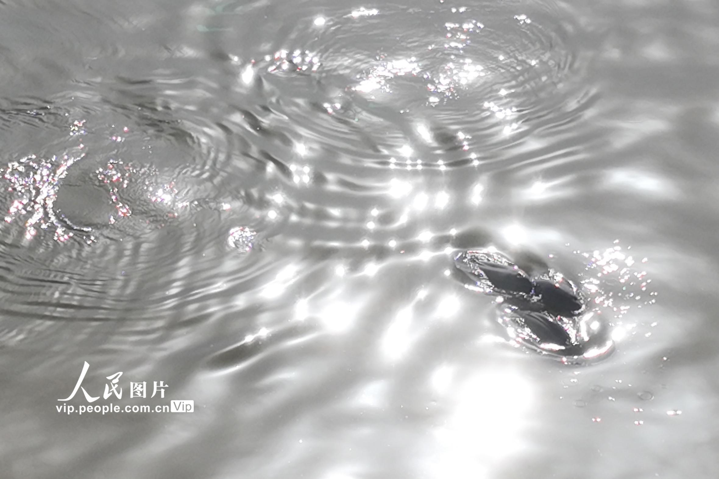 Ͼ衾4