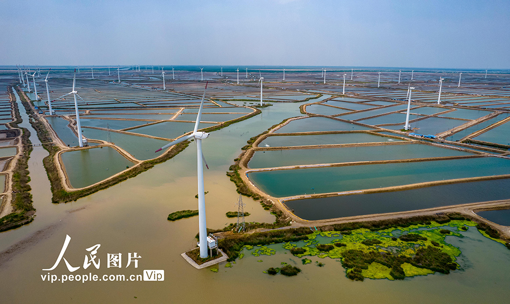 �����γǣ�̲Ϳ���粹�桱�ۺϿ���͹����̬Ч�桾3��