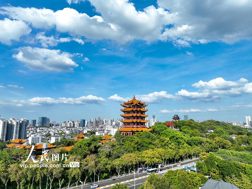 �����人�������������ʤ�ա�3��