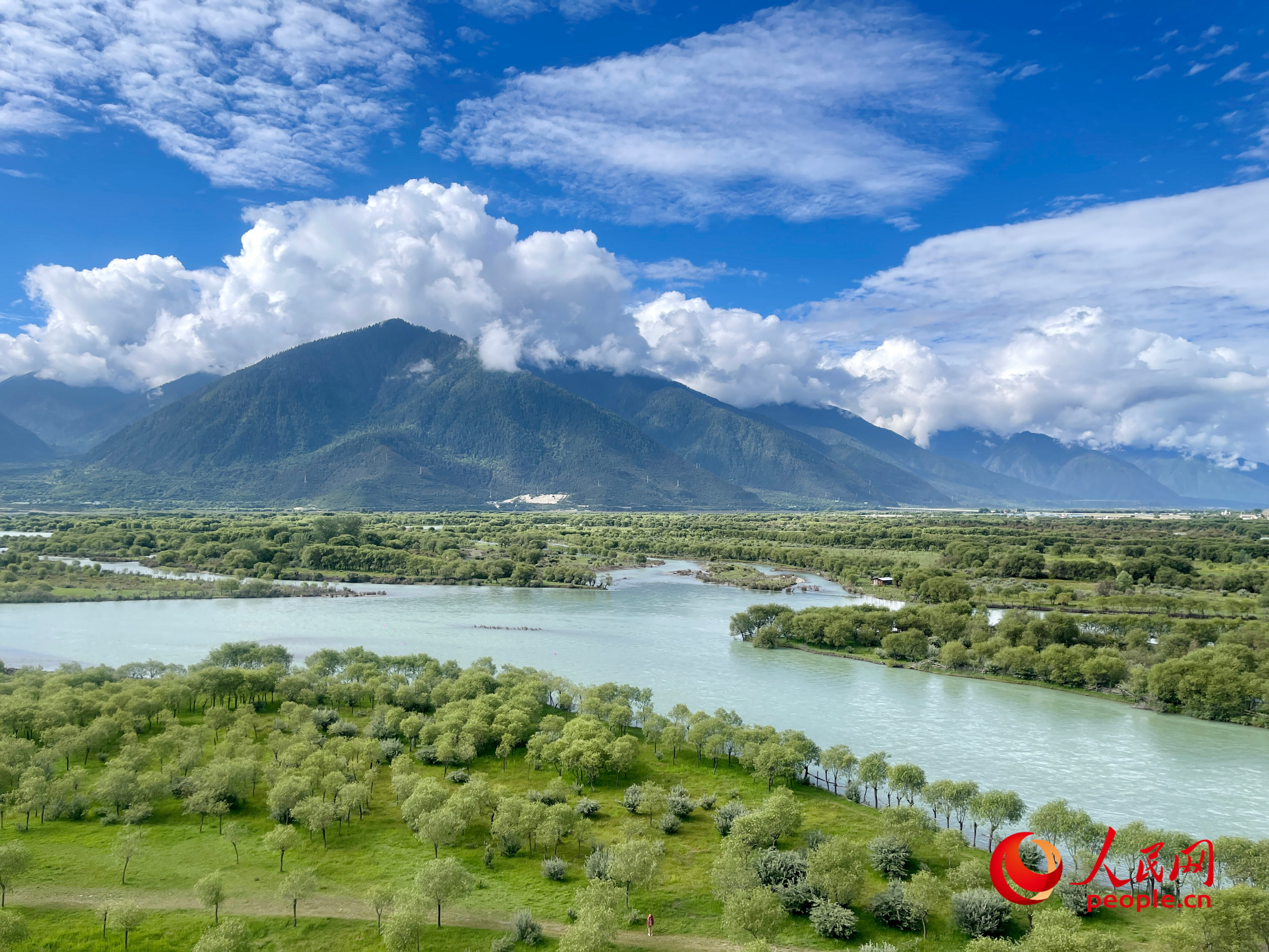 我们的家园｜夏日的雅尼国家湿地公园 如诗