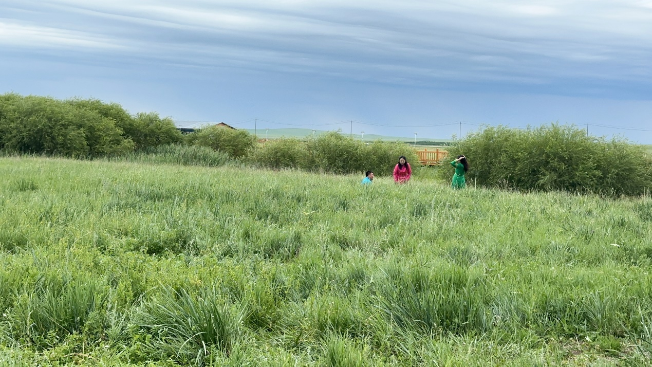 图为游客在草原上拍照游玩。人民网记者 金洪花摄