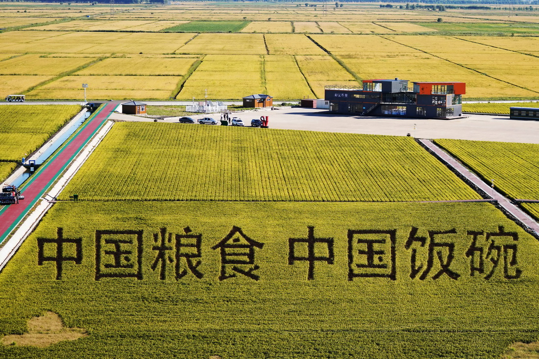 这是黑龙江省富锦市万亩水稻科技示范园里的稻田画（2022年9月2日摄）。新华社记者 王建威 摄