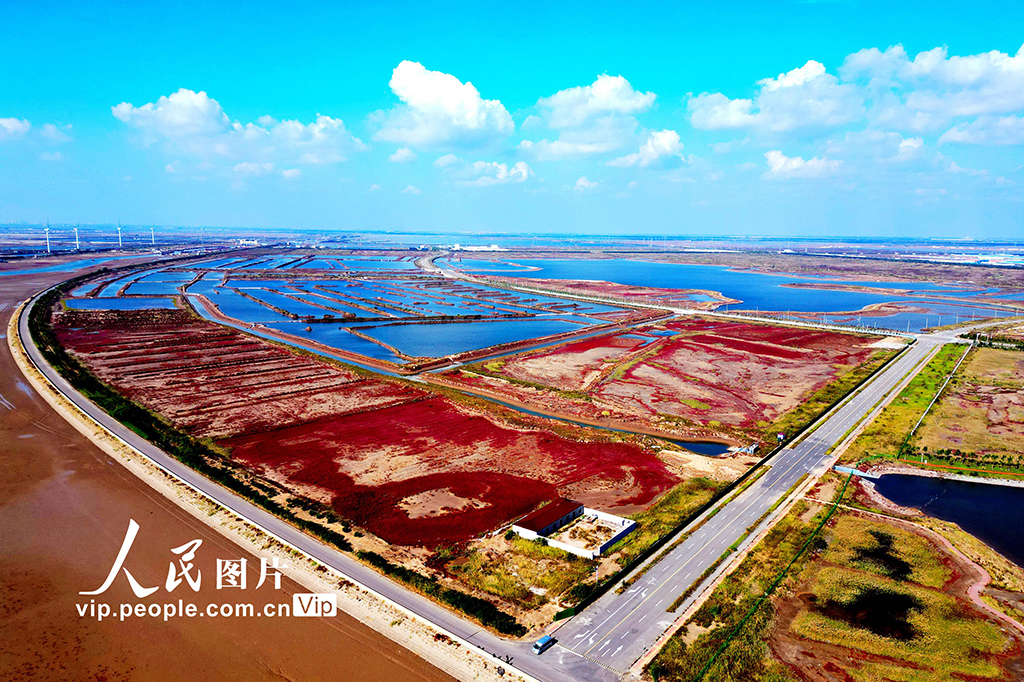 ɽ����Ӫ��ʪ�ء���ױ����5��