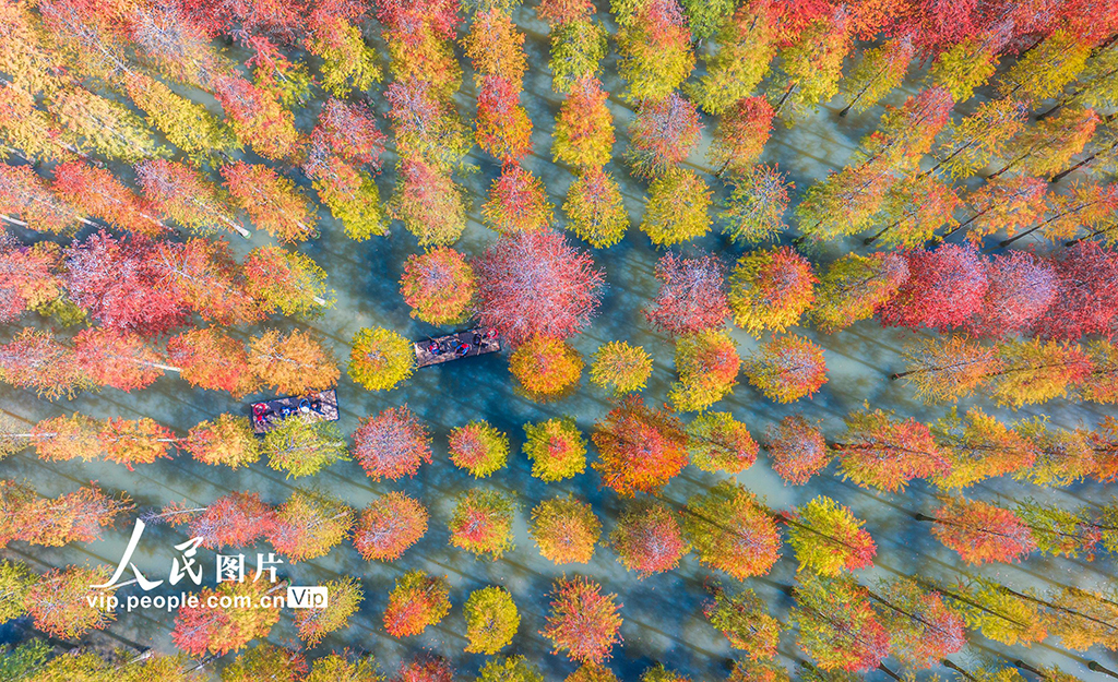 �������飺ˮ��ɼ��ɫ�ʰ�쵡�5��