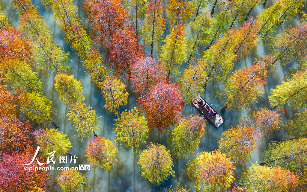 �������飺ˮ��ɼ��ɫ�ʰ�쵡�6��