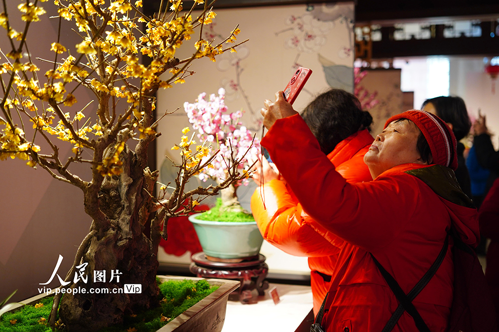 北京：颐和园“两梅”文化展引客来