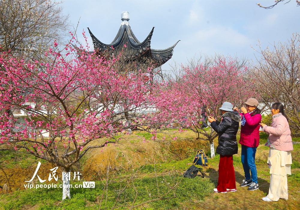 2024年2月27日
，春光吸引不少游客前来踏春赏梅。明媚