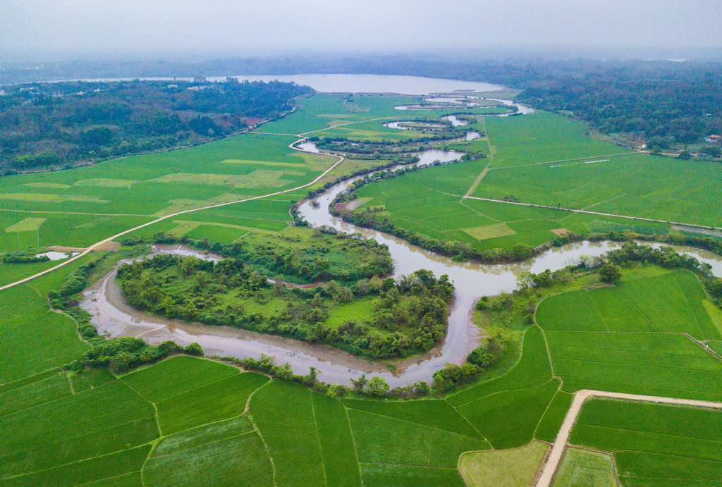 2月26日在海口市琼山区拍摄的曲溪三十六曲溪及周边的早稻田（无人机照片）�。</div><h2 class=