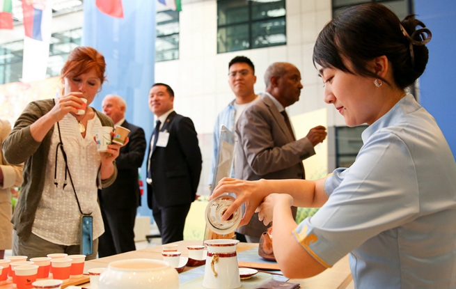  FAO held tea tasting activities to celebrate the "International Tea Day"