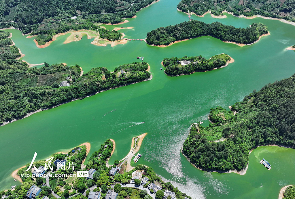 安徽黄山：绿水青山 生态画卷