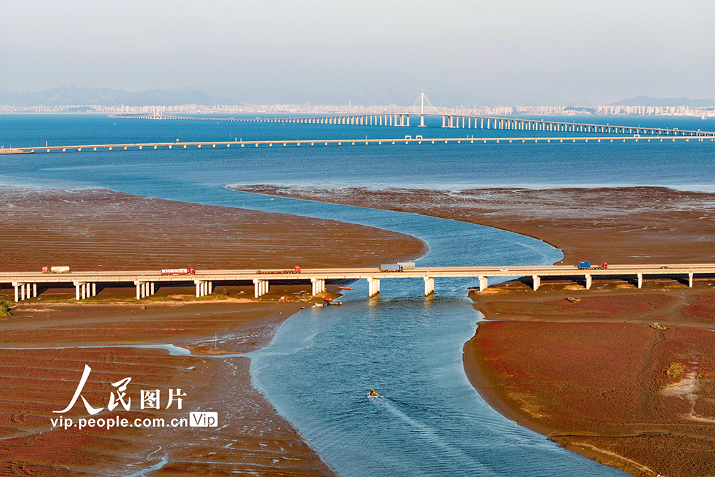 山东青岛：红海滩如梦似幻