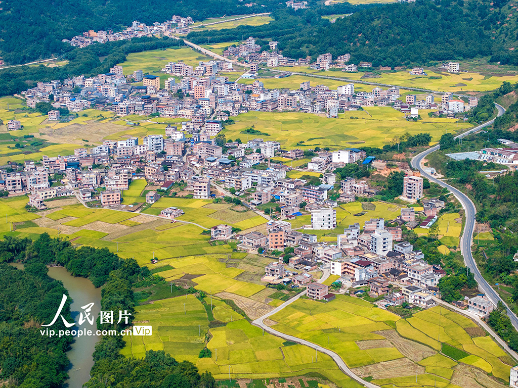 广西梧州：田园“丰”景如画【3】