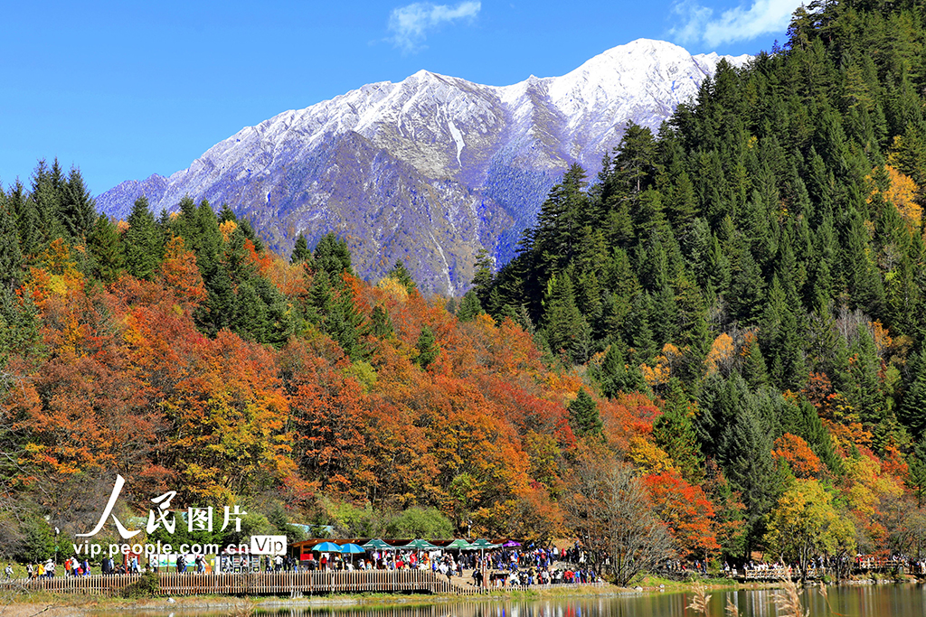 四川九寨沟：秋景如画醉游人【5】