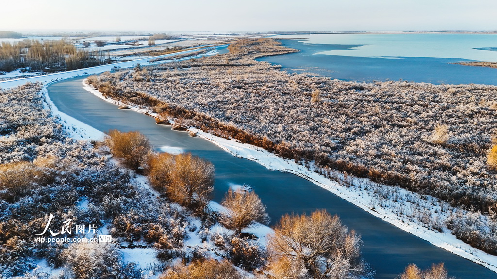 新疆呼图壁：雪后初霁 湿地如画【2】