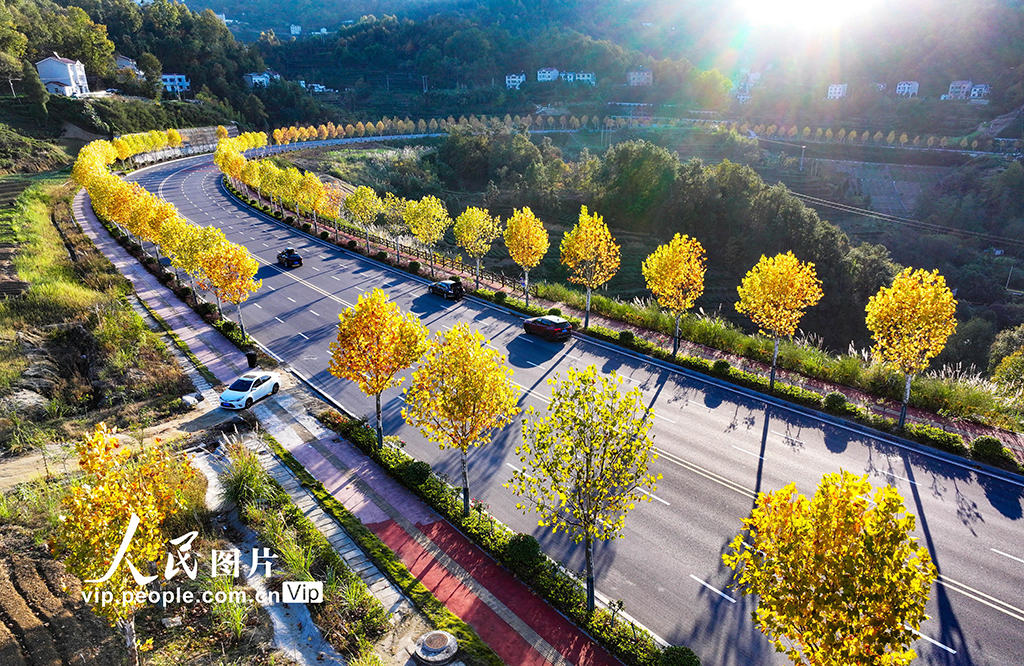 湖北秭归：山乡公路景色美【2】