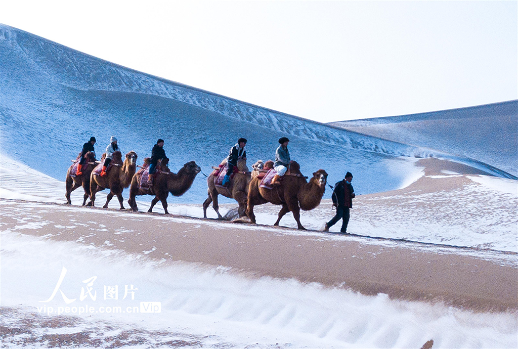 甘肃敦煌：雪落大漠景如画【4】