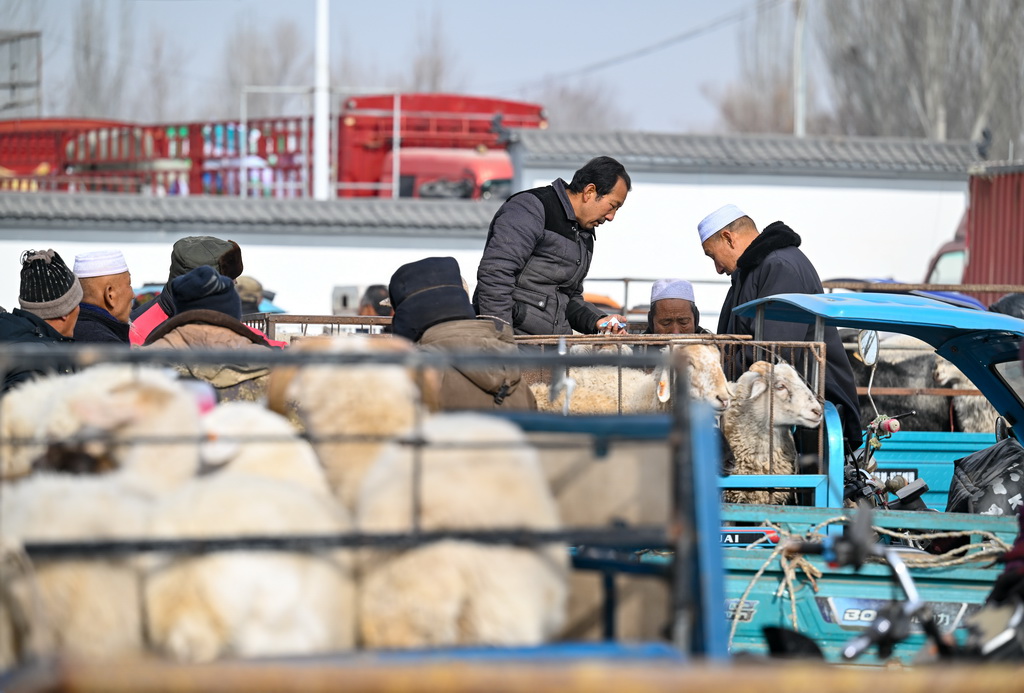 1月21日，人们在金贵集贸市场交易活羊。