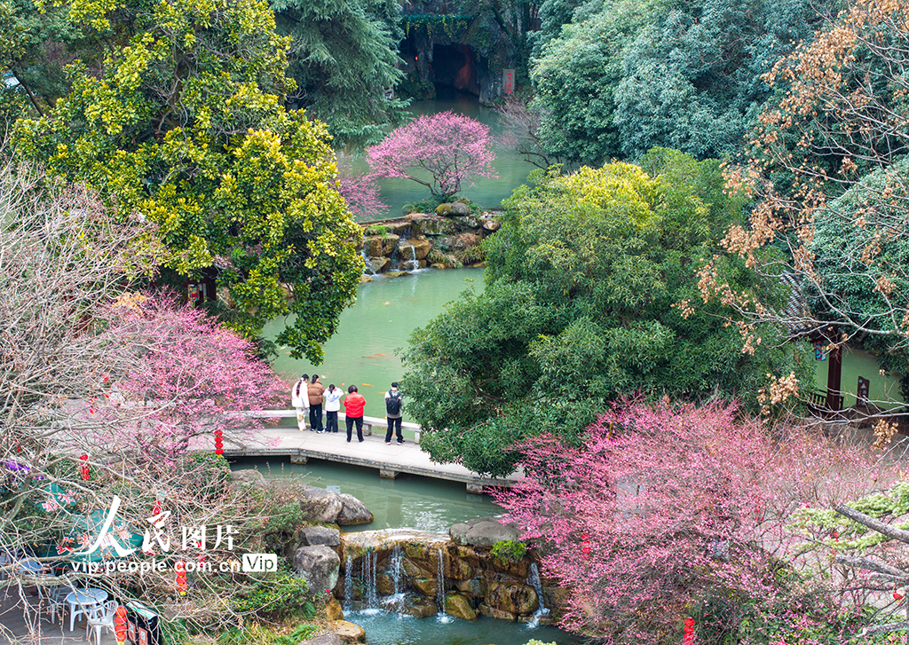 浙江金华：梅花绽放风景宜人