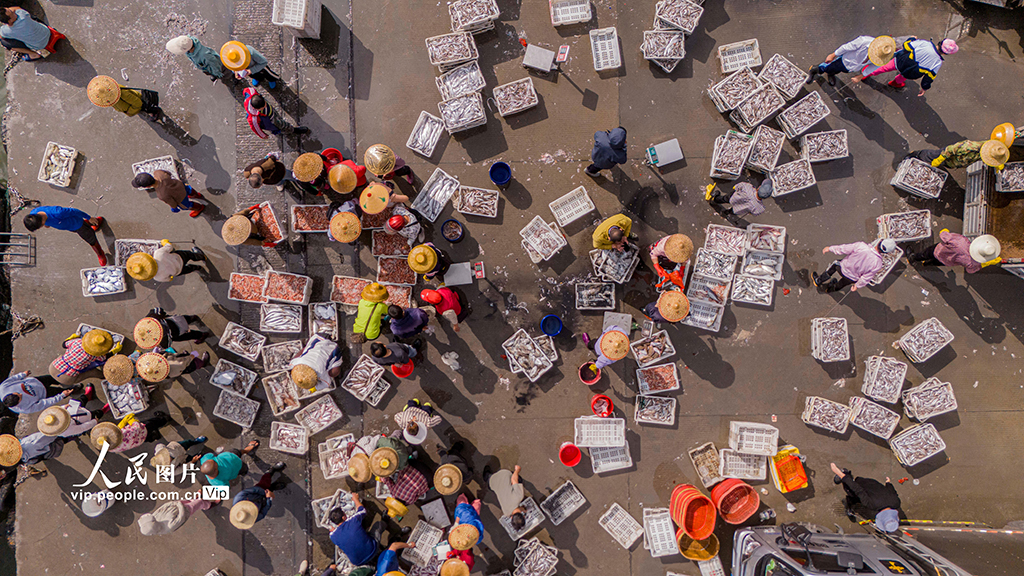 海南文昌：南海春汛鱼满仓【6】