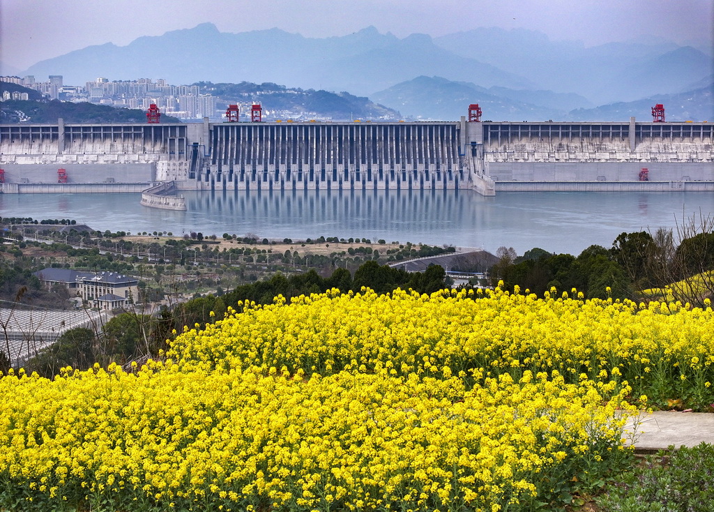 3月6日，在湖北省宜昌市夷陵区三斗坪镇拍摄的三峡坝区美丽春光。