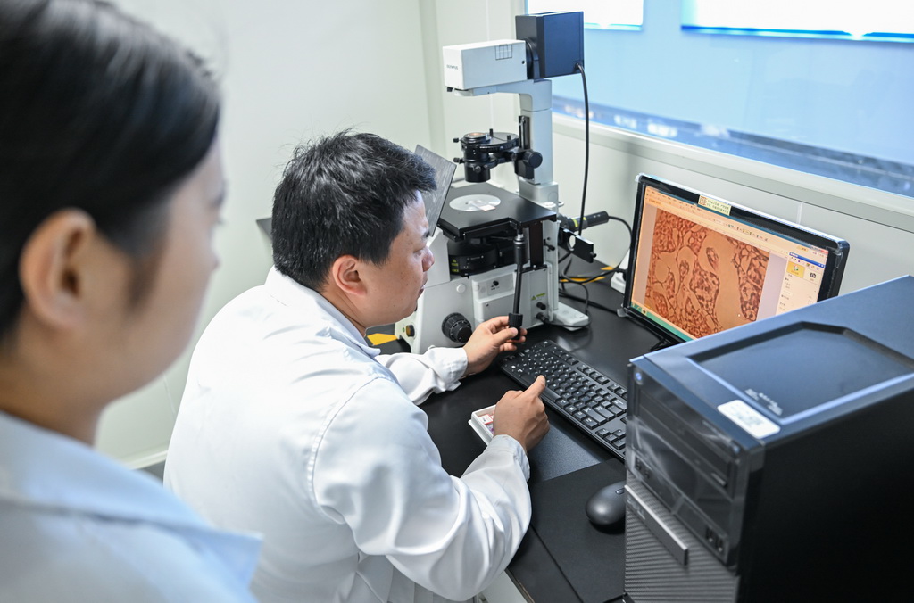 4月10日,在湖北省宜昌市三峡集团长江生物多样性研究中心,科研人员胡亚成(右)观察中华鲟的性腺发育状况。