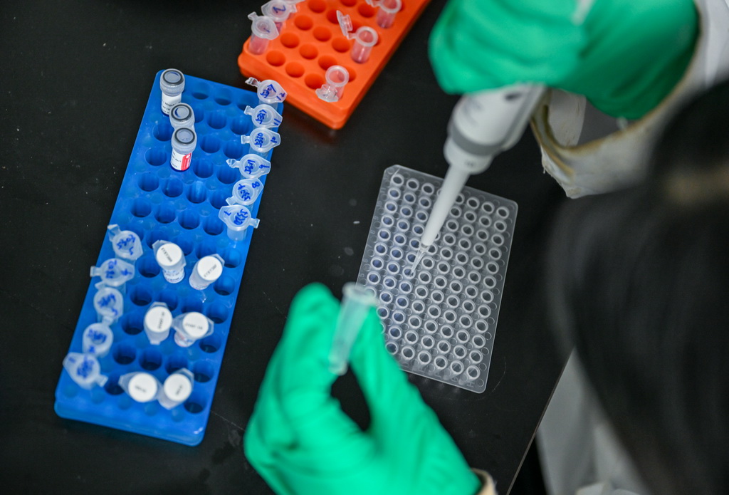 4月10日，科研人员在湖北省宜昌市三峡集团长江生物多样性研究中心实验室工作。