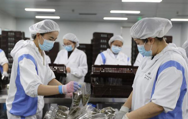 宁夏银川：粽香迎端午 企业赶制忙