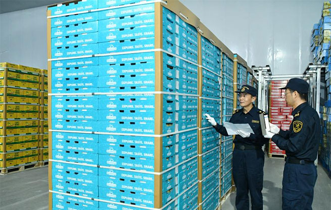 河北鲜梨出口阿根廷