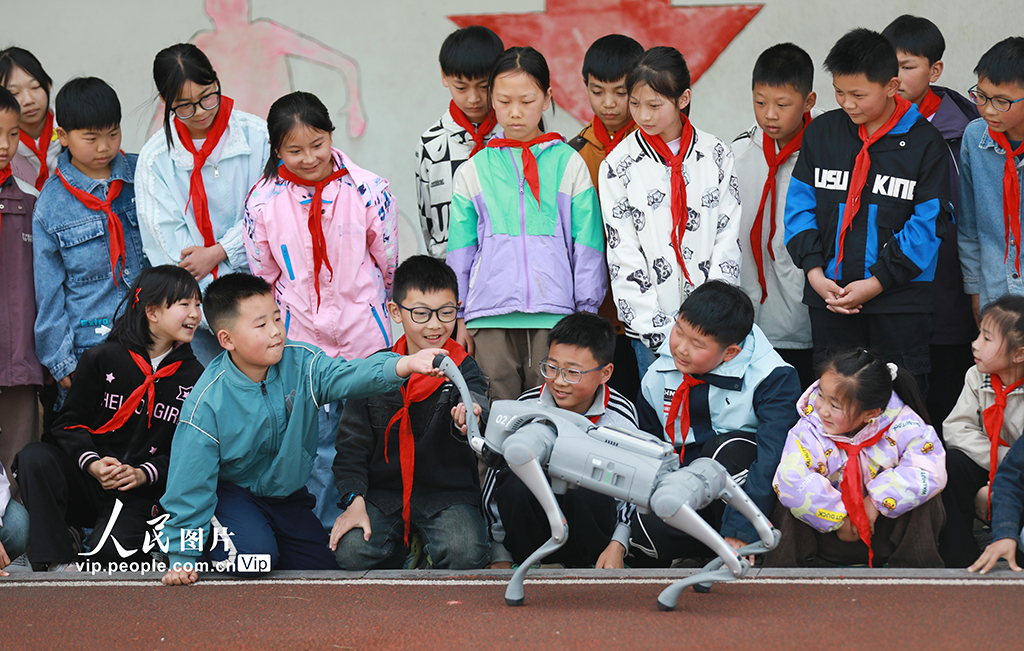湖北巴东：智能机器狗进乡村小学