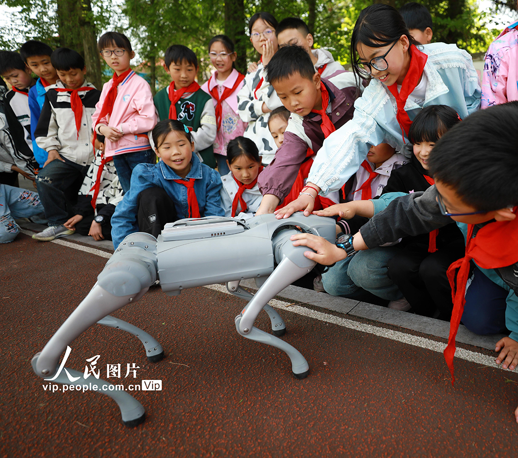 湖北巴东：智能机器狗进乡村小学【3】