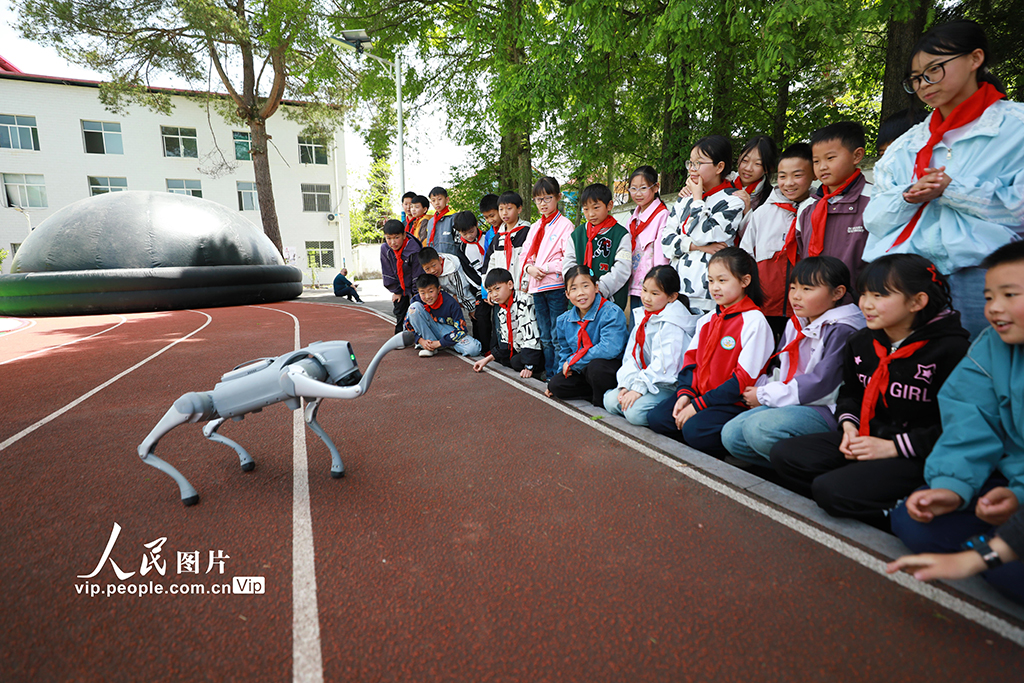 湖北巴东：智能机器狗进乡村小学【4】