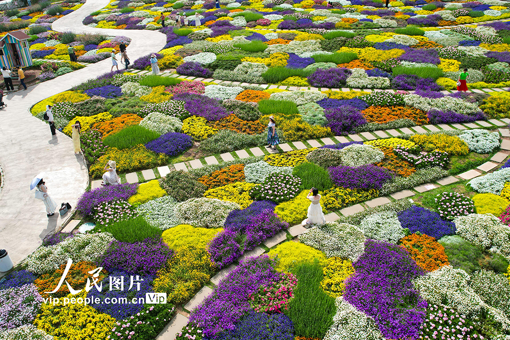 四川成都：漫步花海