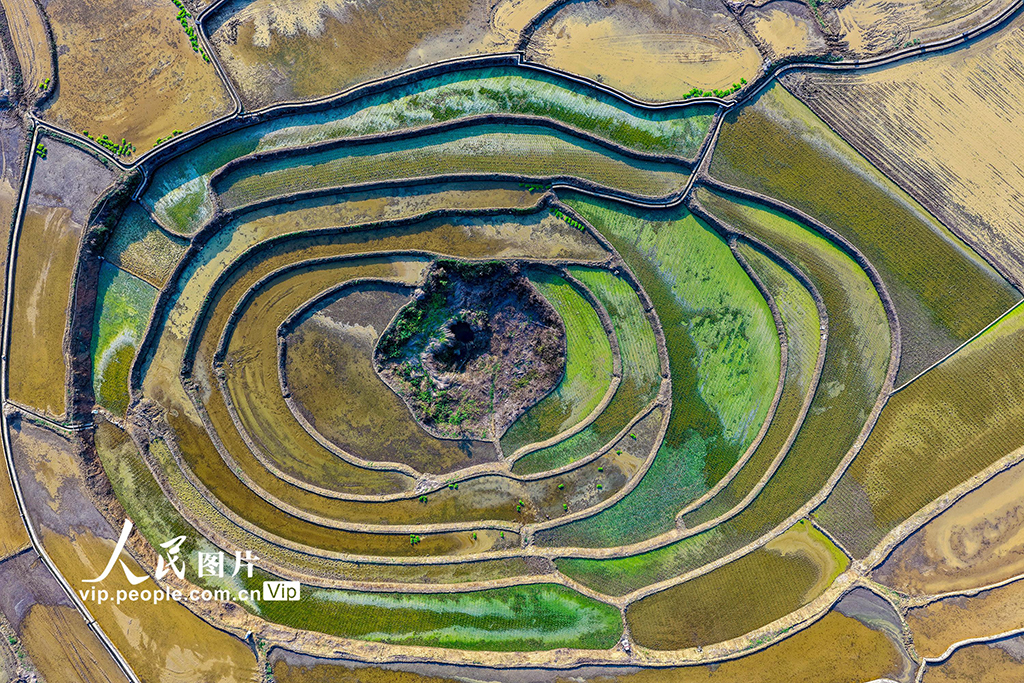 贵州兴义：田园画卷美