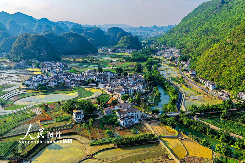 贵州兴义：田园画卷美【5】