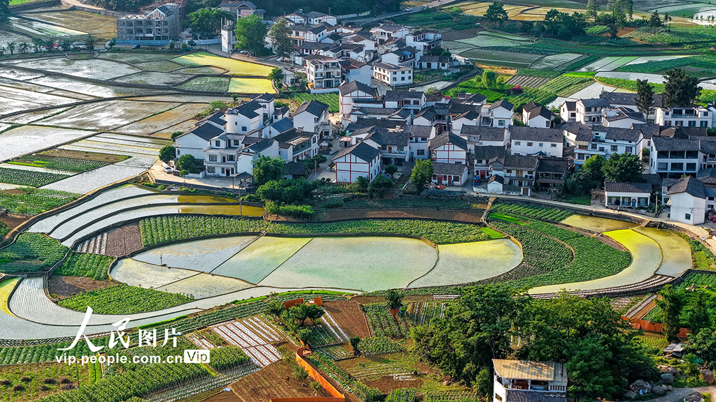 贵州兴义：田园画卷美【2】