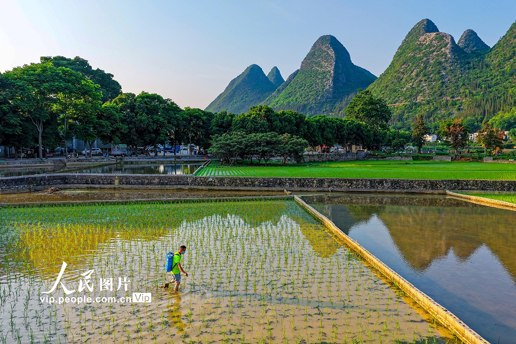 贵州兴义：田园画卷美【3】