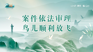 案件依法审理 鸟儿顺利放飞