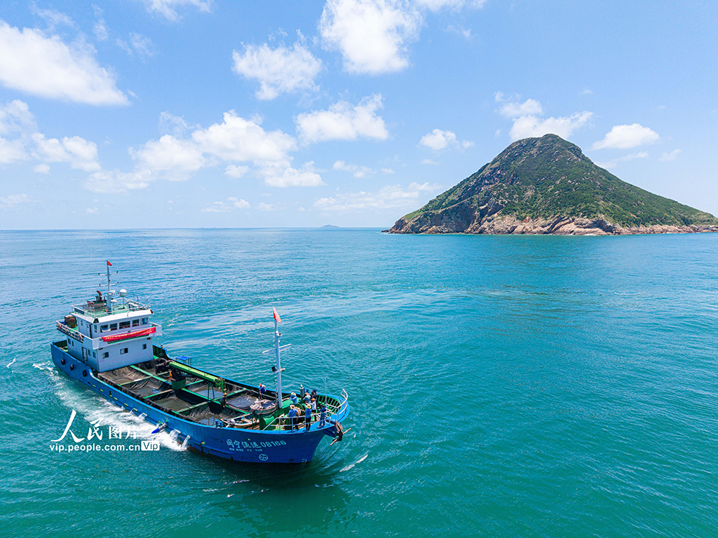 浙江温岭：东海开展增殖放流