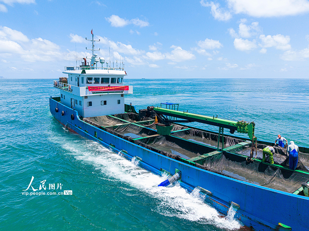 浙江温岭：东海开展增殖放流【2】