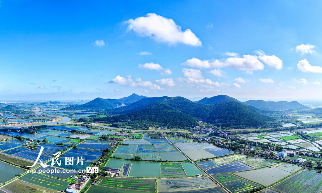 安徽当涂：绘就江南水乡生态新画卷